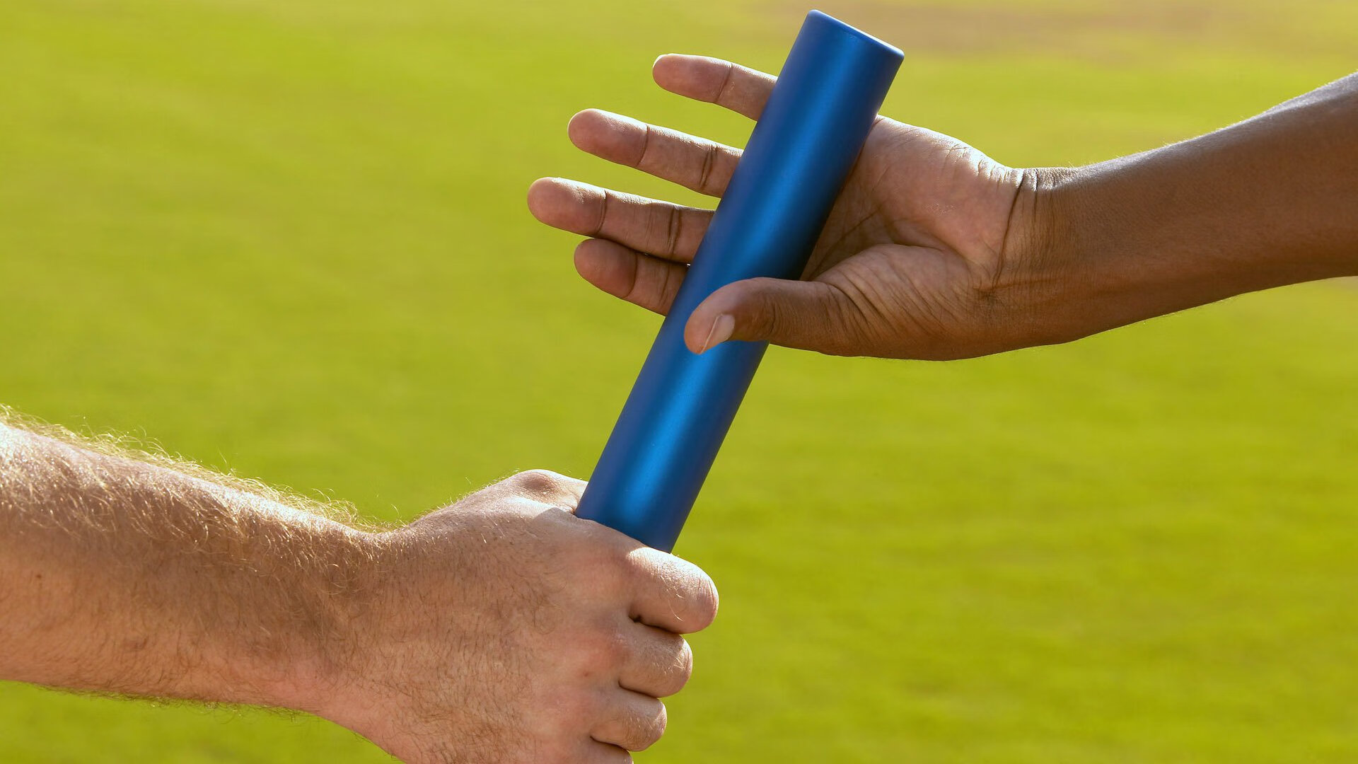 游泳选手数量虽少,但技术集中度高,游泳选手名单